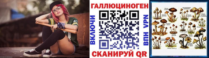 kraken вход  Донской  Псилоцибиновые грибы прущие грибы 