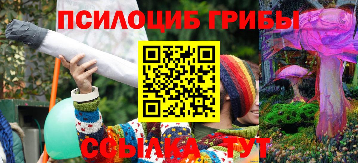 Галлюциногенные грибы GOLDEN TEACHER Донской