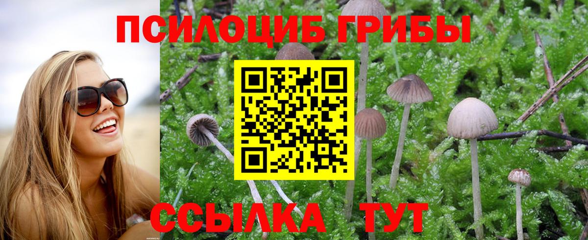 Донской  Псилоцибиновые грибы мухоморы  Вход с VPN  даркнет сайт  Галлюциногенные грибы мухоморы 